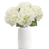 Bout de banc, bouquet de gypsophile et hortensia