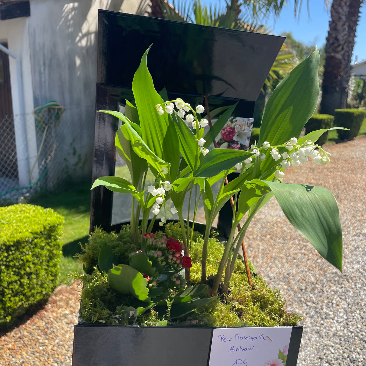 Muguet de Mai Composition