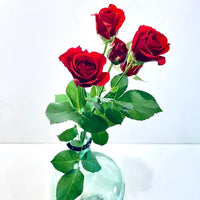 Bout de banc, bouquet de gypsophile et Roses branchues