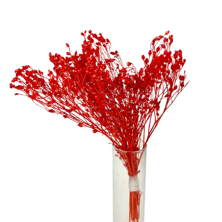 Red Broom-bloom Mini Bouquet, Complement, Box DIY