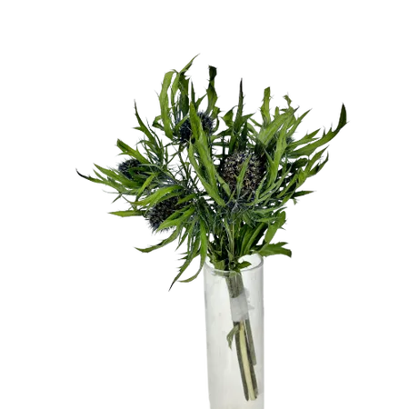 Chardon bleus 5 Fleurs, Complément, Box DIY