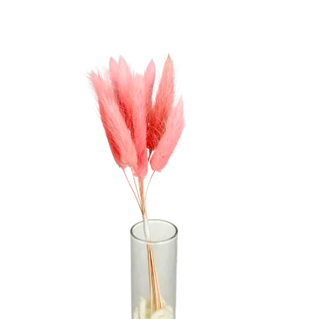 Lagurus rose 10 tiges, Complément, Box DIY