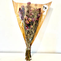 hélichrysum helichrysum curry italicum fleur de paille hélichrysum séché helichrysum immortelle séché  fleur de paille séchée