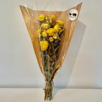 hélichrysum helichrysum curry italicum fleur de paille hélichrysum séché helichrysum immortelle séché  fleur de paille séchée