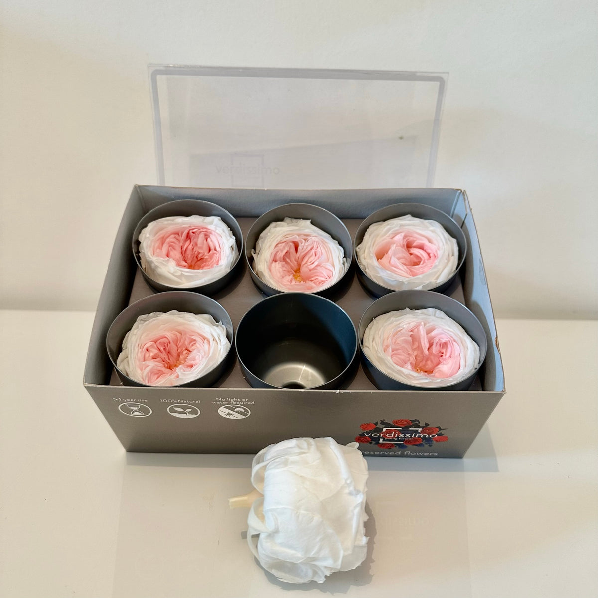 rose stabilisée, rose éternelle, rose stabilisée prix, rose stabilisée c'est quoi, rose stabilisée sur tige, rose stabilisée jardiland, rose stabilisée truffaut, tête de rose stabilisée, tête de roses stabilisées, rose anglaise, rose blanche et rose, rose stabilisée blanche et rose, rose éternelle blanche et rose