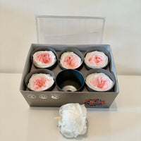 rose stabilisée, rose éternelle, rose stabilisée prix, rose stabilisée c'est quoi, rose stabilisée sur tige, rose stabilisée jardiland, rose stabilisée truffaut, tête de rose stabilisée, tête de roses stabilisées, rose anglaise, rose blanche et rose, rose stabilisée blanche et rose, rose éternelle blanche et rose