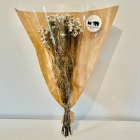 ixodia ixodia séchée fleur séchée fleur marguerite ixodia blanc séché ixodia séchée blanc naturel botte de fleurs séchées ixodia séché blanc botte botte séché ixodia blanche 