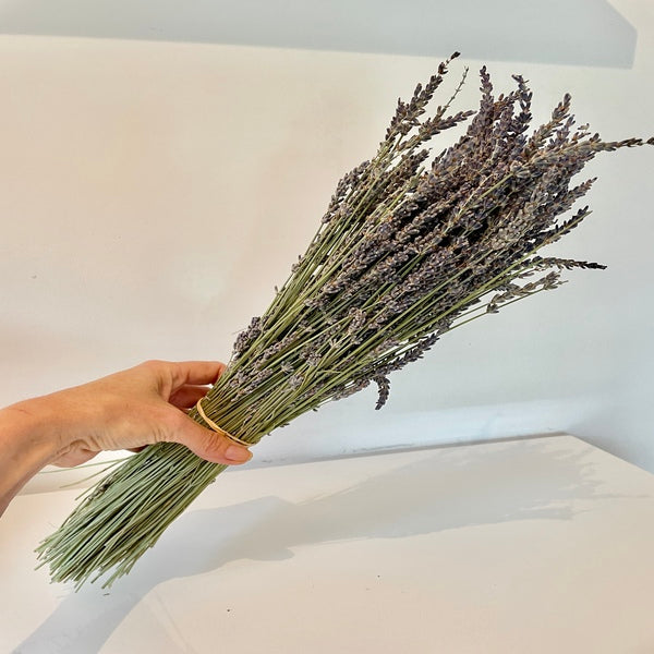 lavande, lavande vraie, lavande en port, lavande aspic, lavande papillon, lavande officinale, bouquet de lavande, botte de lavande, lavande, fleurs séchées, lavande séchées, lavande fleurs, fleurs violettes, fleurs séchées violettes, lavande provence, bouquet de lavande de provence, botte de lavande de provence