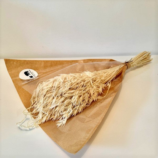 bouquet avoine blanchi séchée, avoine blanchi séchée, botte avoine blanchi séchée, avoine séchée, fleur avoine, fleurs champetre, fleurs rustique, fleur campagnard, fleur thème champêtre, fleur thème rustique, fleur thème rustique, avoine blanche, avoine séchée blanc,  fleurs séchées avoine blanc, fleurs séchées avoine blanche, fleurs séchées avoine naturel, avoine naturel séchées, avoine naturel, bouquet avoine, fleurs séchées avoine, grappe avoine séchée, grappe avoine naturel