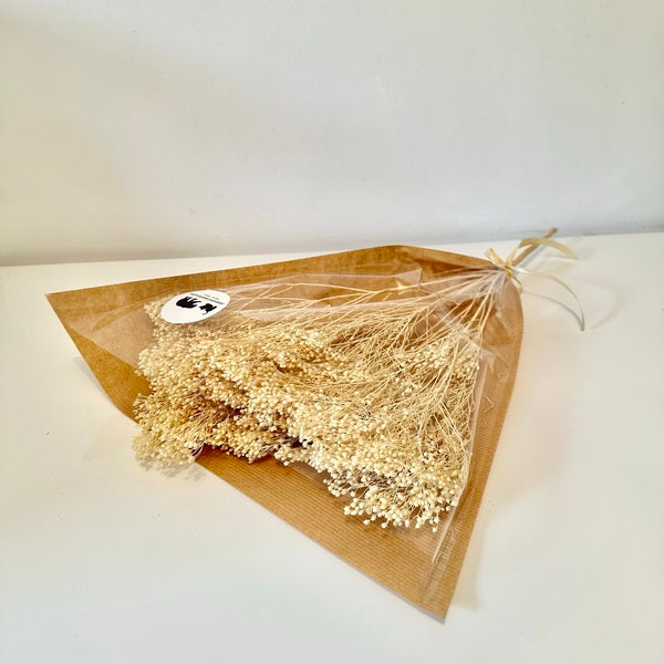 Broom bloom, broom bloom seeds, bouquet broom bloom, broom bloom blanc, brin broom bloom, fleurs séchées, bouquet de fleurs séchées, botte fleurs séchées, broom, bloom, broom bloom naturel, fleur de genet, fleurs de genets, broom bloom naturel, bouquet fleur de genet, bouquet fleur de genet séchée, bouquet fleur de genet naturelle