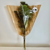 Broom bloom, broom bloom seeds, bouquet broom bloom, broom bloom blanc, brin broom bloom, fleurs séchées, bouquet de fleurs séchées, botte fleurs séchées, broom, bloom, broom bloom naturel, fleur de genet, fleurs de genets, broom bloom naturel, bouquet fleur de genet, bouquet fleur de genet séchée, bouquet fleur de genet naturelle, broom bloom vert, fleur de genet vert