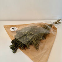 Broom bloom, broom bloom seeds, bouquet broom bloom, broom bloom blanc, brin broom bloom, fleurs séchées, bouquet de fleurs séchées, botte fleurs séchées, broom, bloom, broom bloom naturel, fleur de genet, fleurs de genets, broom bloom naturel, bouquet fleur de genet, bouquet fleur de genet séchée, bouquet fleur de genet naturelle, broom bloom vert, fleur de genet vert