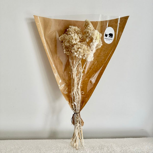 immortelle, immortelle jaune, fleurs immortelle, fleurs immortelle jaune, fleurs séchées, botte de séchées, bouquets de fleurs séchées, fleurs jaune, fleurs séchées jaune, fleurs immortelle jaune, immortelle jaune, immortelle rose, immortelle naturel, immortelle du var jaune, immortelle du var rose, immortelle du var naturel, fleurs choux fleurs, fleurs choux, fleurs séchées choux fleurs