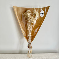 immortelle, immortelle jaune, fleurs immortelle, fleurs immortelle jaune, fleurs séchées, botte de séchées, bouquets de fleurs séchées, fleurs jaune, fleurs séchées jaune, fleurs immortelle jaune, immortelle jaune, immortelle rose, immortelle naturel, immortelle du var jaune, immortelle du var rose, immortelle du var naturel, fleurs choux fleurs, fleurs choux, fleurs séchées choux fleurs