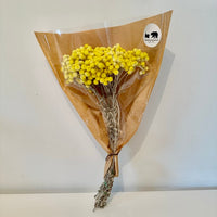 immortelle, immortelle jaune, fleurs immortelle, fleurs immortelle jaune, fleurs séchées, botte de séchées, bouquets de fleurs séchées, fleurs jaune, fleurs séchées jaune, fleurs immortelle jaune, immortelle jaune, immortelle rose, immortelle naturel, immortelle du var jaune, immortelle du var rose, immortelle du var naturel, fleurs choux fleurs, fleurs choux, fleurs séchées choux fleurs