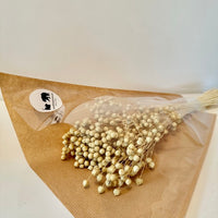 Lin séché, Lin, bouquet de lin, bouquet de lin séché, bouquet de fleurs séchées, fleurs séchées, botte de lin, botte de lin séché, lin séché naturel, fleurs de lin séché, linum, linum naturel, acheter lin séché, fleurs lin séchéss, lin fleurs séchées