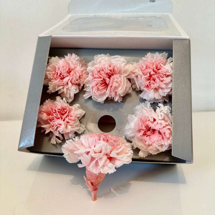 Oeillet, oeillet stabilisé, fleurs stabilisés, fleurs éternelles, oeillet fleur, fleurs séchées, petite fleur, petite fleur ronde, tête œillet stabilisée, tête œillets stabilisées, oeillet rose, fleurs éternelles