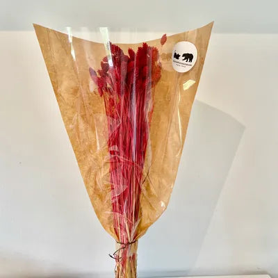 Phalaris, bouquet de phalaris, bottes fleurs séchées, fleurs séchées, DIY, fleurs naturels, phalaris, rose, phalaris, rose pale, phalaris naturel, phalaris orange, phalaris milka, phalaris violet, phalaris rouge, fleur séchée phalaris