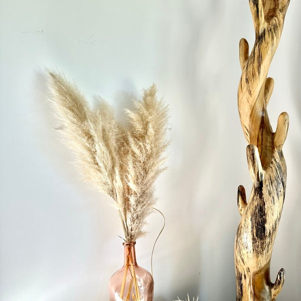 plume de pampas, plume pampa, plumes de pampas, plumes pampas, plumes, plumes blanches, plumes naturel, plume de pampas naturel, plumes de pampas blanche, plumes naturel, plume déco, plume maison
