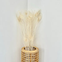plume de paon, plume de paon fleuriste, plume de paon déco, plume de paon maison, plume de paon naturel, plume de paon séchées, botte plume de paon, lot plumes de paon, plumes, botte de fleurs séchées, fleurs séchées, plumes de paon, plume chic, plume de paon blanche, plumes de paon blanches, plumes blanches, plume blanche, plume de paon blanche