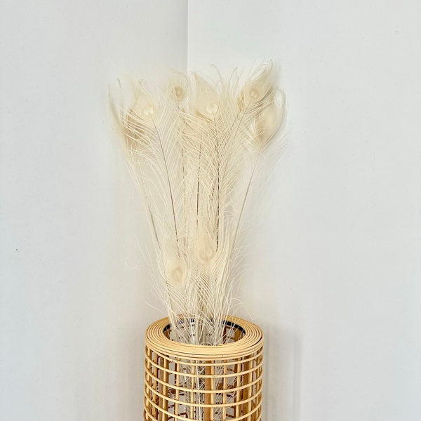 plume de paon, plume de paon fleuriste, plume de paon déco, plume de paon maison, plume de paon naturel, plume de paon séchées, botte plume de paon, lot plumes de paon, plumes, botte de fleurs séchées, fleurs séchées, plumes de paon, plume chic, plume de paon blanche, plumes de paon blanches, plumes blanches, plume blanche, plume de paon blanche