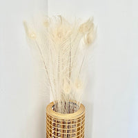 plume de paon, plume de paon fleuriste, plume de paon déco, plume de paon maison, plume de paon naturel, plume de paon séchées, botte plume de paon, lot plumes de paon, plumes, botte de fleurs séchées, fleurs séchées, plumes de paon, plume chic, plume de paon blanche, plumes de paon blanches, plumes blanches, plume blanche, plume de paon blanche